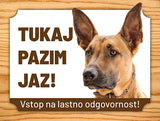 04 Belgijski ovčar Malinois