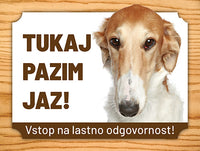 72 Ruski hrt (Borzoi)