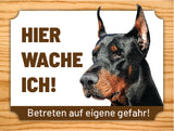 12 Dobermann