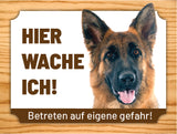 14 Deutscher Schäferhund