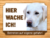 51 Labradorweiß