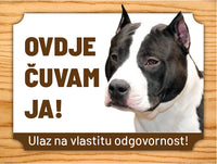 52 Amerikanischer Staffordshire-Terrier