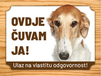 72 Ruski hrt (Borzoi)