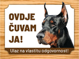 12 Dobermann