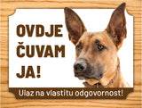 04 Belgijski ovčar Malinois