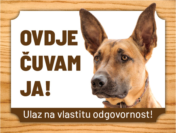 04 Belgijski ovčar malinois